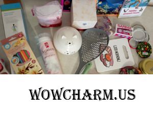 Покупки из магазина Фикс Прайс.