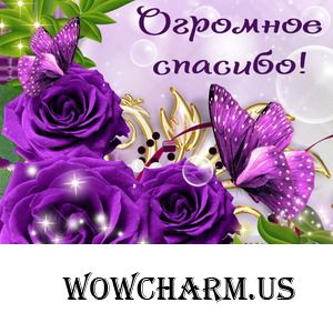 Приз приехал