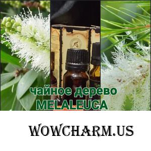 Масло чайного дерева от хандры и для хорошего настроения.