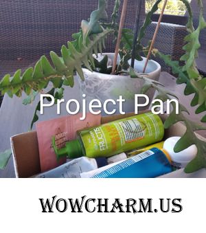 Project Pan --- мои планы до окончания зимы.