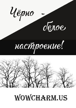Фото - флешмоб 78 этап. Тема "Чёрно - белое настроение". Голосование завершено! Часть 1.