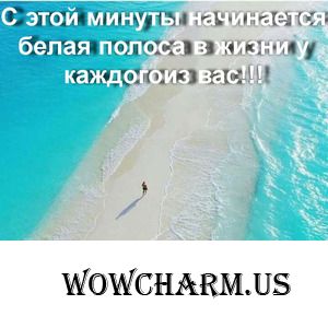 Фотофлэшмоб. Этап 81 "Светлая полоса"