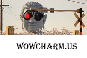 Фотографии с идеально рассчитанным моментом для съемки