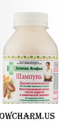 "Рецепты бабушки Агафьи" / Аптечка Агафьи Шампунь восстанавливающий для окрашенных волос
