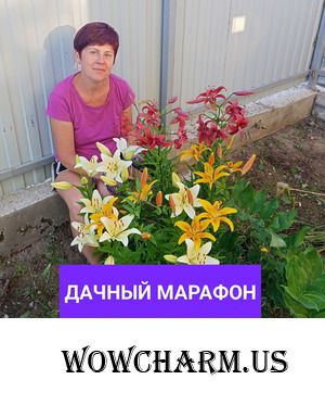 Дачный марафон. toha336 Неделя - 11