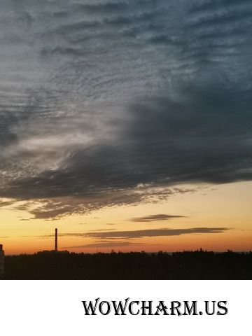 Хочу туда — где солнце, море, лето! Чтобы гулять от ночи до рассвета