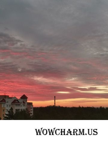 И каждый раз мне кажется, что больше нечем удивить меня! Но нет, природа приготовила еще множество сюрпризов...