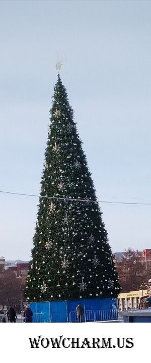 Наша вылазка на городскую ёлку
