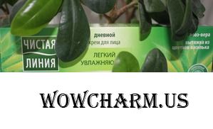 Много много плюсов....