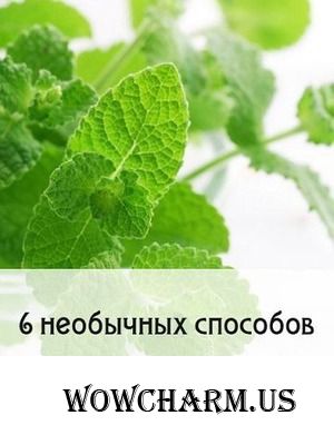 6 необычных свойств использования мяты