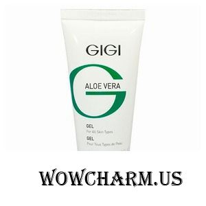 GIGI / Гель Aloe Vera Gel